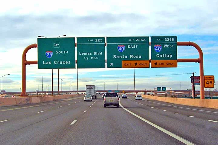 Apesar de a Rodovia Pan-Americana — que conecta o Alasca, nos Estados Unidos, a Ushuaia, na Argentina — ser considerada a mais longa do mundo, ela atravessa vários países e tem trechos interrompidos. 