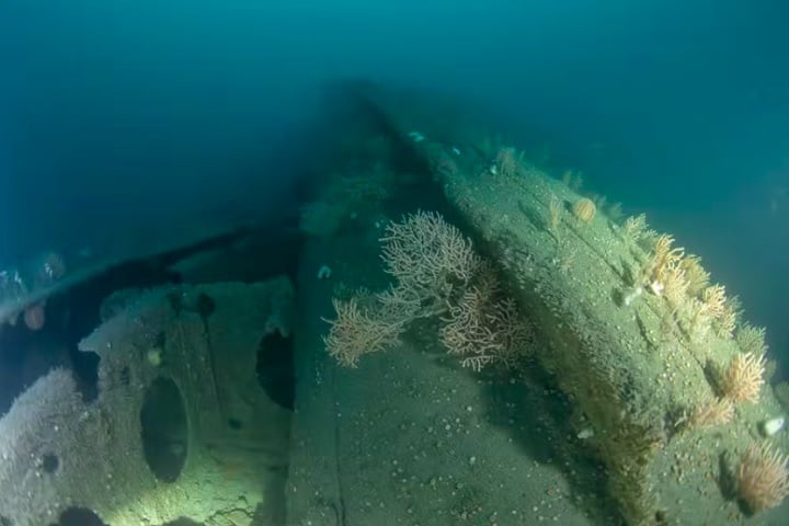 Porque eu sempre quis ser dono de um navio afundado. Ter o meu próprio naufrágio, entende?, disse o britânico.