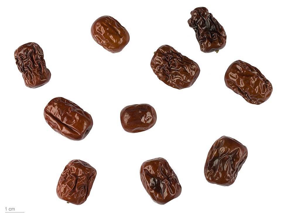 Azufaifa (Ziziphus jujuba verde) - Mais conhecida em sua versão doce, a jujuba ou azufaifa é extremamente azeda quando ainda verde e cultivada na Ásia e Mediterrâneo. É antioxidante e rica em vitamina C; ao cozinhar com mel ou secar ao sol, a acidez é reduzida, sendo usada em caldas, chás e conservas.