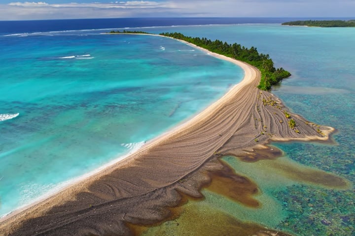 A meta é consolidar uma colônia estável em Palmyra e, futuramente, reintroduzir a ave em Guam, assim que a ameaça das cobras for neutralizada.