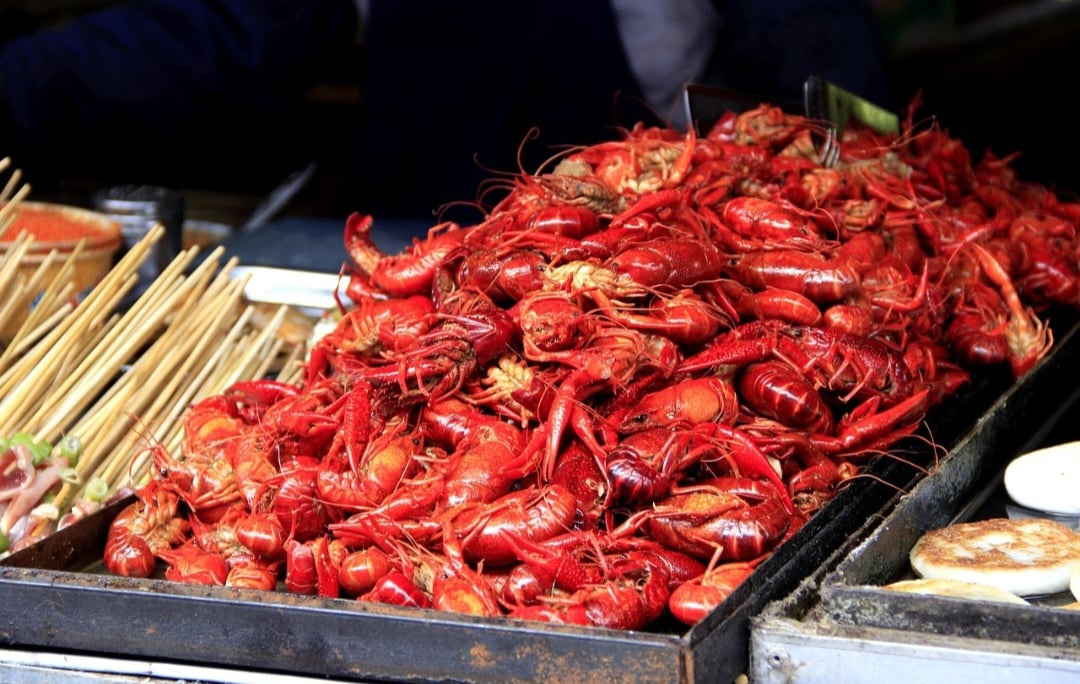 A remoção de grandes quantidades de lagostas (pesca desregulada) pode afetar a população de outras espécies que se alimentam delas ou que são predadas por elas, causando desequilíbrios no ecossistema. 
