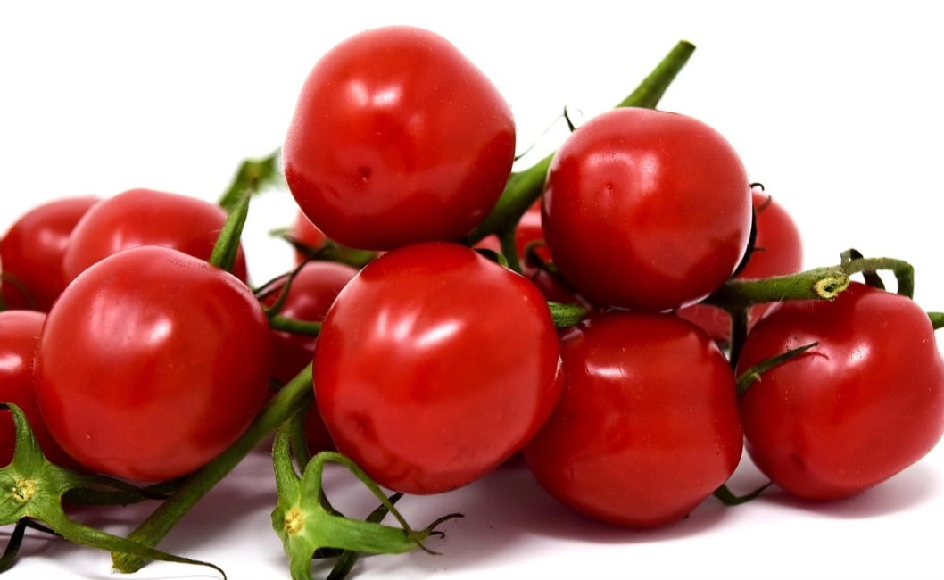 Os italianos, então, desenvolveram técnicas de conservação e processamento do tomate, que se tornaram referência mundial. 