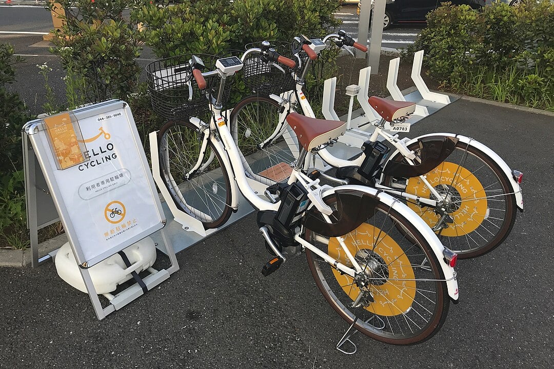 No entanto, apenas um século depois, nos anos 1990, as bicicletas elétricas passaram a se popularizar, graças ao desenvolvimento de baterias mais potentes. Em países da Europa e da Ásia o uso já é bem mais comum que no Brasil. 
