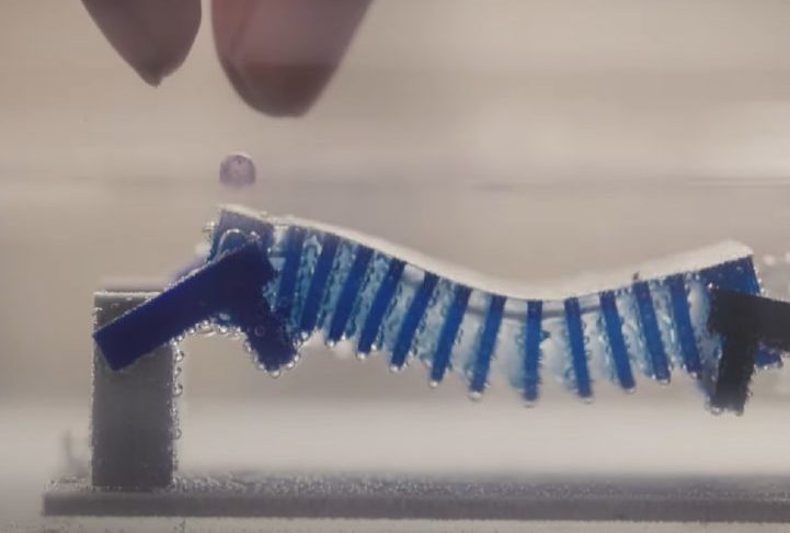 Essa não é o primeiro projeto desse tipo pensado por cientistas. Em dezembro de 2023,  pesquisadores da Universidade de Cornell, inspiraram-se no caracol-maçã do Havaí para criar um protótipo de robô para combater a poluição nos oceanos.