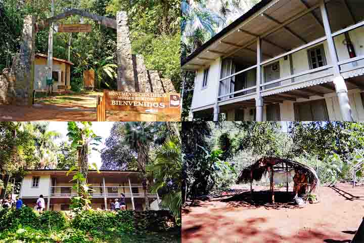 O Monumento científico Moisés Bertoni foi construído em homenagem ao cientista, botânico e biólogo Moisés Bertoni, responsável por estudar a história e o desenvolvimento paraguaio e autor de importantes descobertas.
