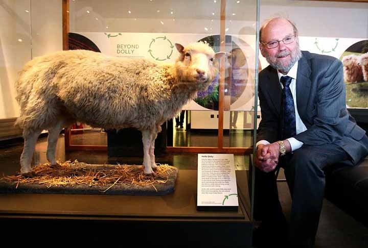 Os cientistas disseram que o embrião humano foi produzido a partir de métodos semelhantes aos utilizados na clonagem da ovelha Dolly. 
