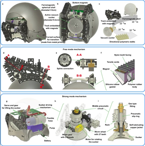 Os robôs-caracóis foram desenvolvidos por pesquisadores da Universidade Chinesa de Hong Kong e apresentados pela primeira vez em um artigo na revista Nature Communications.