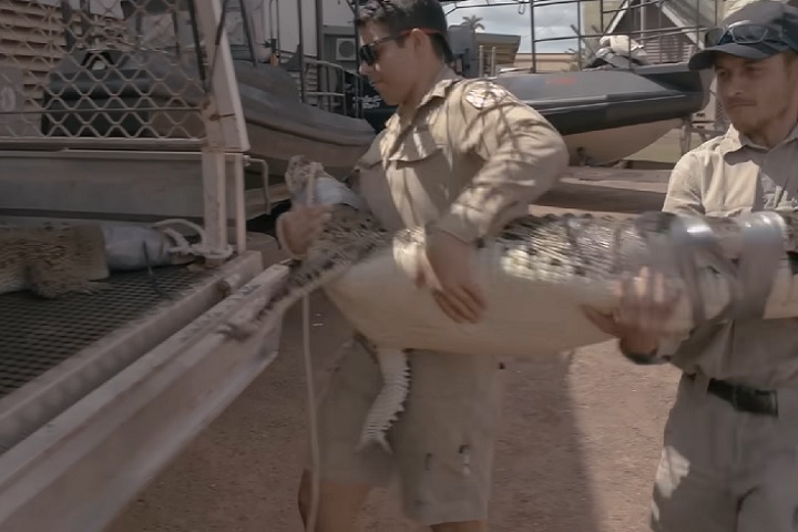 Para reduzir riscos, o programa educacional Be Crocwise ensina práticas seguras para convivência com crocodilos e tem sido tão eficaz que outras regiões, como Flórida e Filipinas, estão interessadas em replicá-lo.