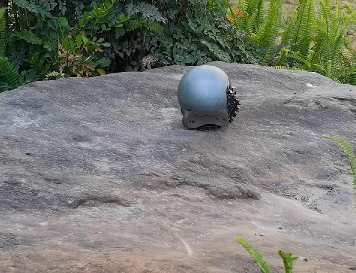 E esses novos robôs têm muitas possíveis utilidades, que vão desde missões de busca e salvamento em lugares perigosos ou monitoramento do meio ambiente em áreas remotas. 