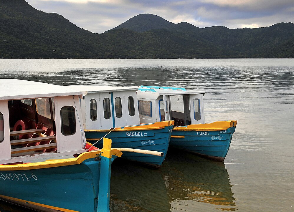Mas em 2024 um esforço de recuperação da espécie no sul do país foi feito com a reintrodução de 16 indivíduos na natureza.  Três famílias foram colocadas no Parque Estadual do Rio Vermelho (foto); e duas no Monumento Natural Municipal da Lagoa do Peri. 
