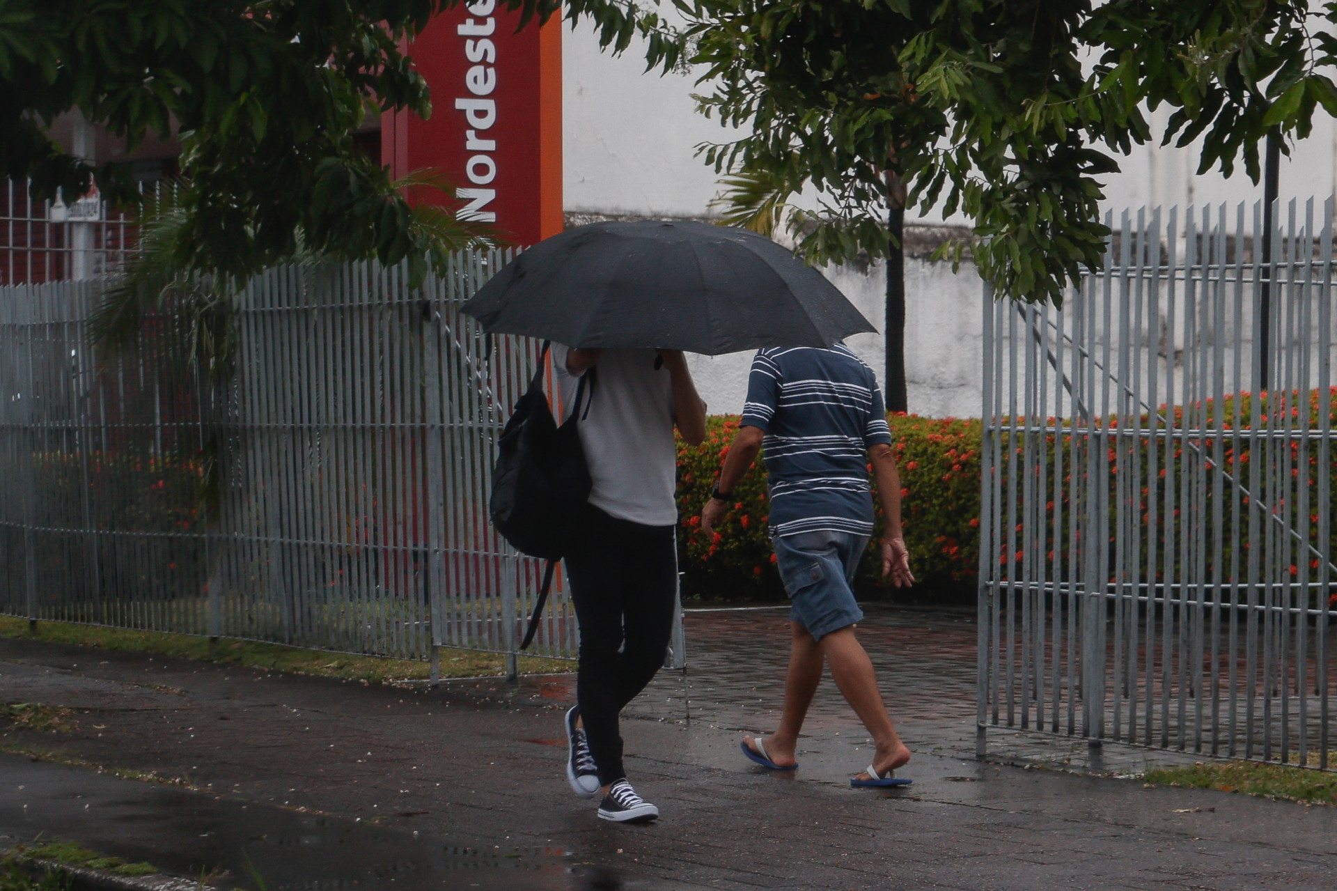 Em 2024, dezembro acumulou uma média de 27,6 mm, um pouco abaixo do esperado para o mês, mas ainda dentro da normalidade (Foto: Daniel Galber - Especial para O Povo)