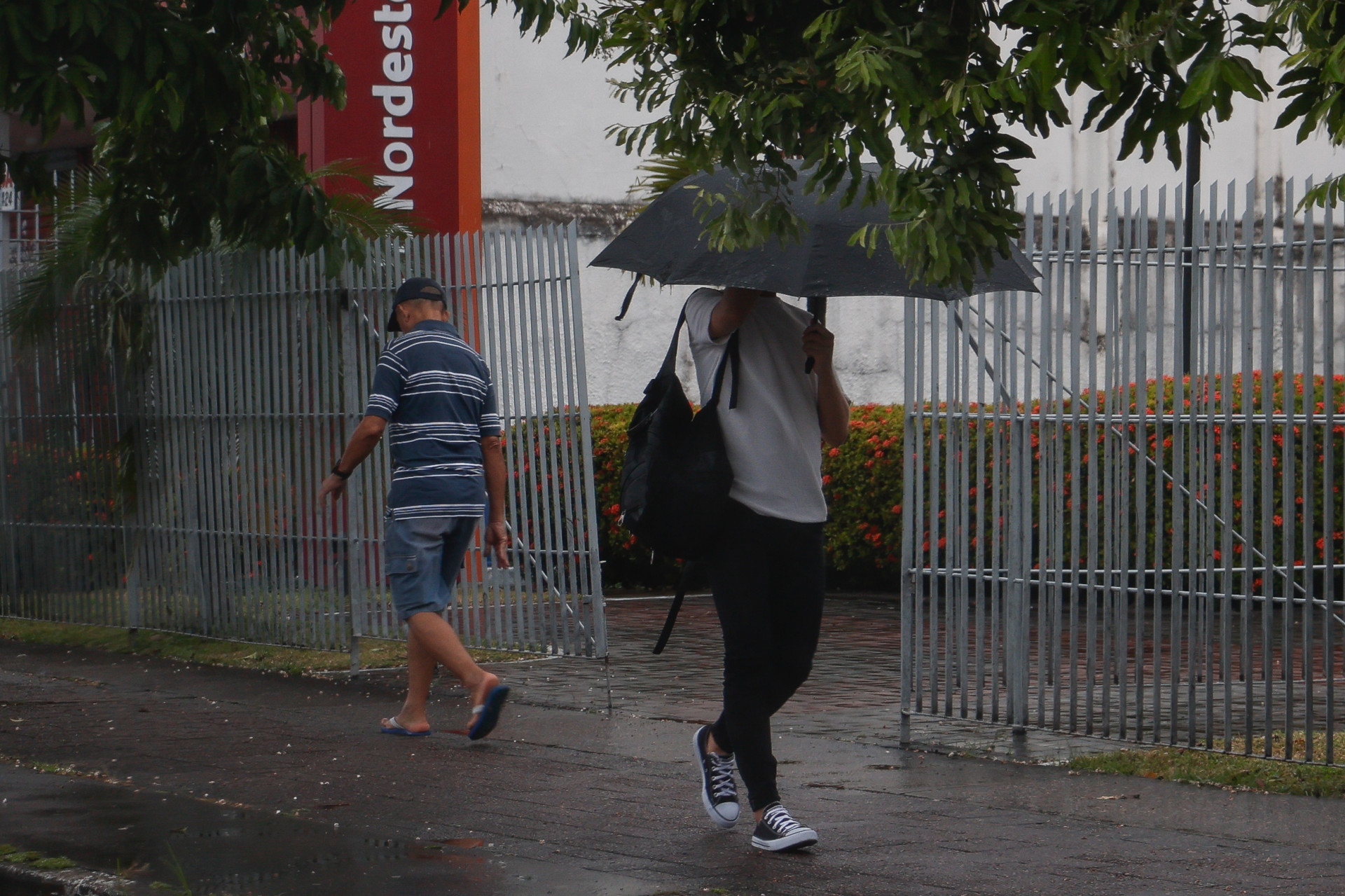 Foto de apoio ilustrativo: Cear&aacute; tem 27 munic&iacute;pios com registro de chuvas das 7 horas de quarta-feira, 14, &agrave;s 7 horas desta quinta, 15 (Foto: Daniel Galber - Especial para O Povo)