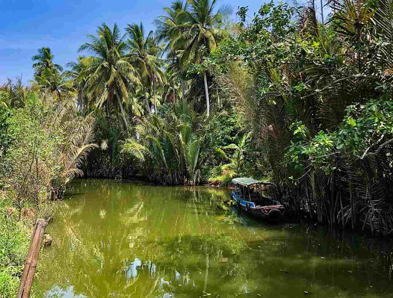 Com sua riqueza natural, suas paisagens únicas e sua cultura flutuante, o delta não só continua sendo uma das regiões mais importantes do Vietnã, como também dá a oportunidade aos turistas para vivenciar uma experiência autêntica e inesquecível.