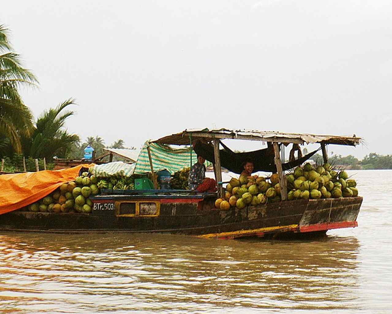 Hoje, o Delta do Mekong continua a ser uma das regiões mais férteis e vitais para o Vietnã. O solo aluvial deixado pelas águas do Mekong cria as condições perfeitas para a agricultura, com o arroz sendo o principal produto cultivado.