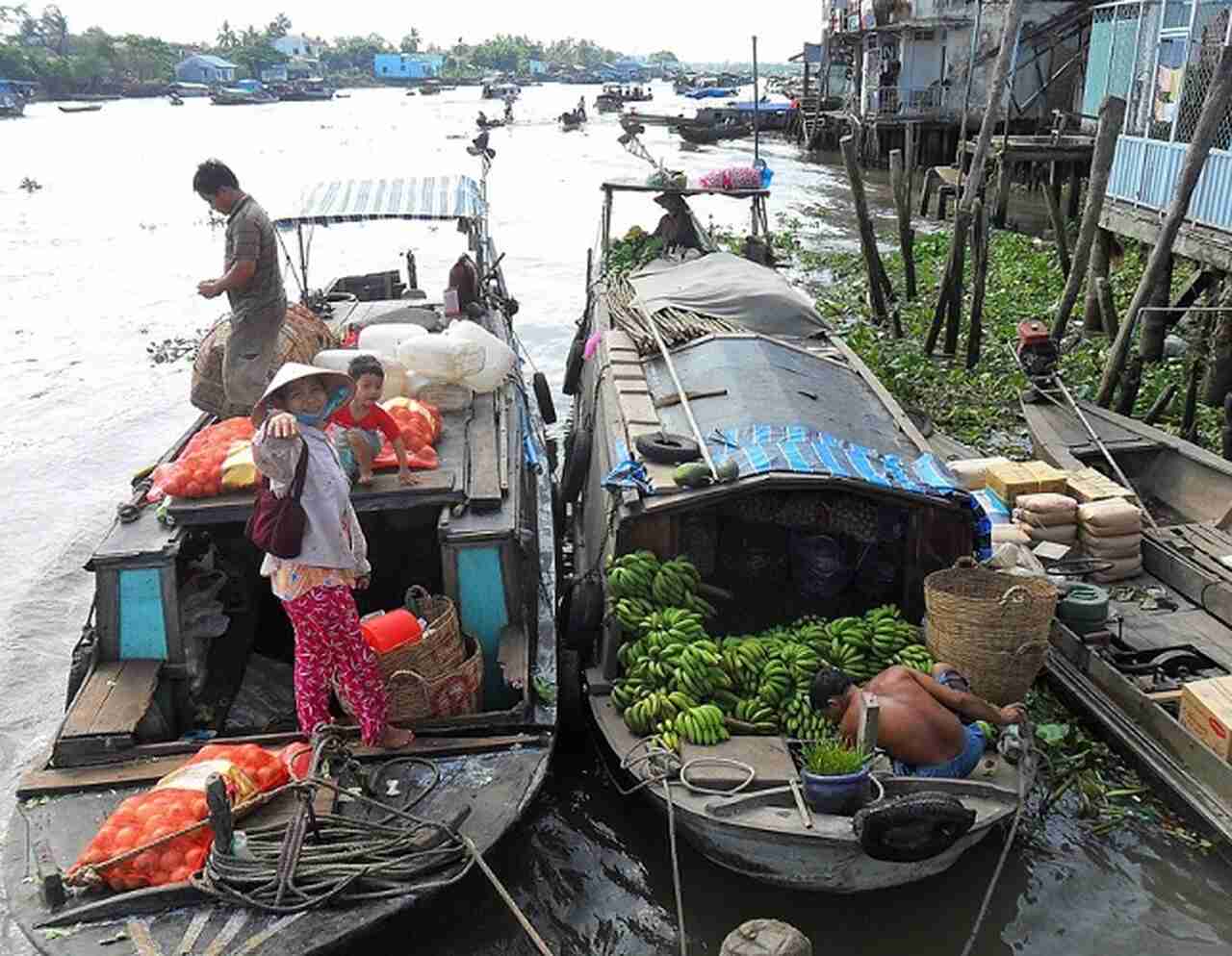 A hospitalidade dos moradores locais também é um dos grandes atrativos da região. Conhecidos por sua gentileza e simplicidade, os habitantes do delta do Mekong têm uma visão positiva da vida e estão dispostos a compartilhar sua cultura e modos de vida com os visitantes.