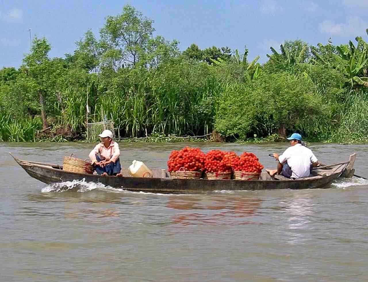 O rio e seus nove braços (daí o nome nove dragões) moldam as paisagens do delta e influenciam profundamente a vida dos seus habitantes.