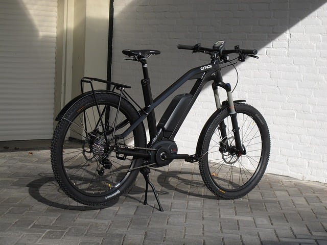 No ano, os modelos elétricos corresponderam a 4,9% de todas as unidades de bicicletas fabricadas considerando todas as categorias. Em 2023, a fatia havia sido de 2,6%