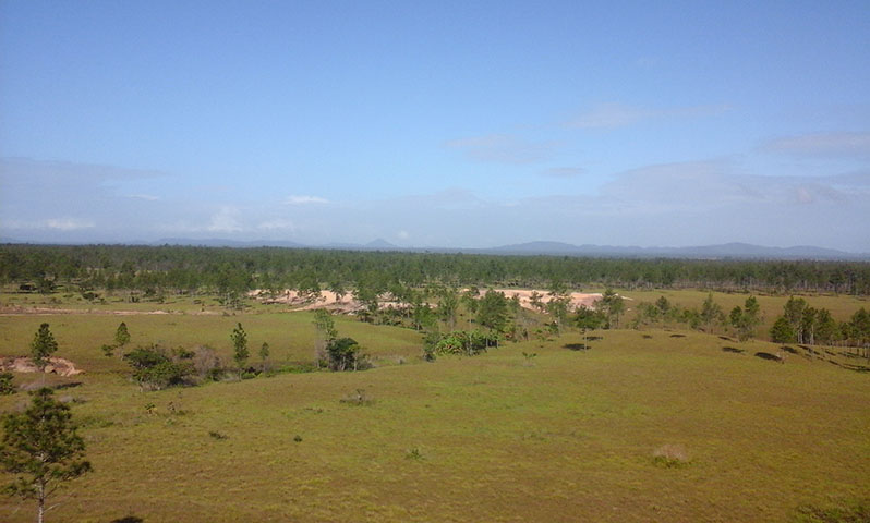 Pesquisadores têm interesse em Mosquitia para estudos de ruínas encontradas, que seriam de uma espécie de cidade perdida.