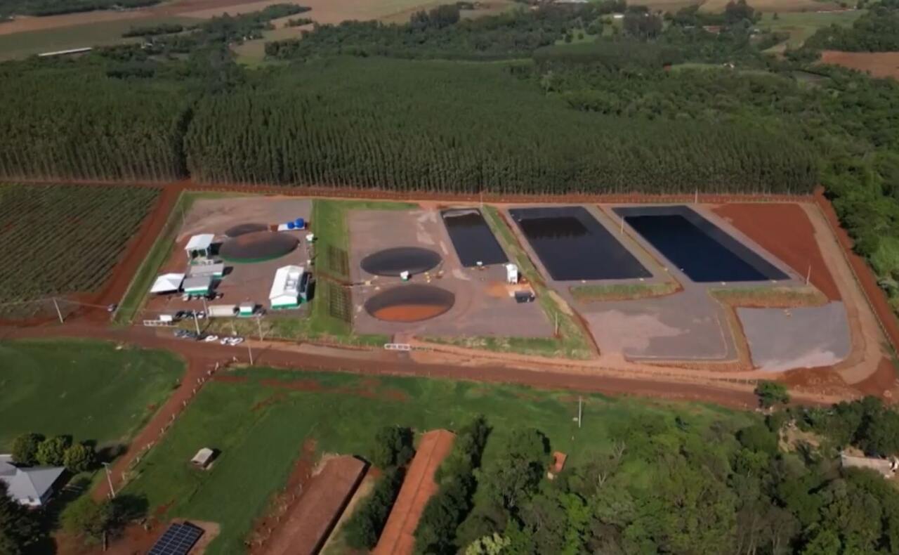 Os animais produzem diariamente cerca de 340 metros cúbicos de estrume. Isso basicamente equivale a 340 caixas d'água de mil litros.