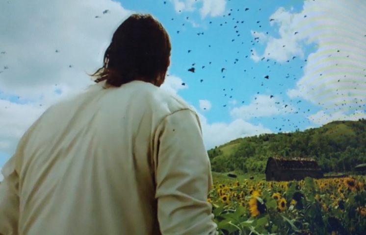 Os corvos ganharam fama também na cultura pop. Em filmes como O Corvo (1994) e Os Mensageiros (2007), os corvos assumem o papel de mensageiros da morte, prenúncios de eventos trágicos ou até mesmo representantes do mal.