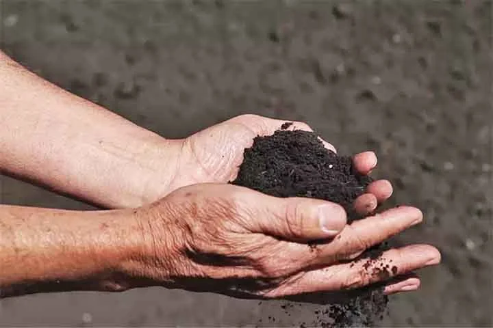 A proposta visa reduzir o uso de fertilizantes químicos, que dependem de combustíveis fósseis e prejudicam o solo e a água. 