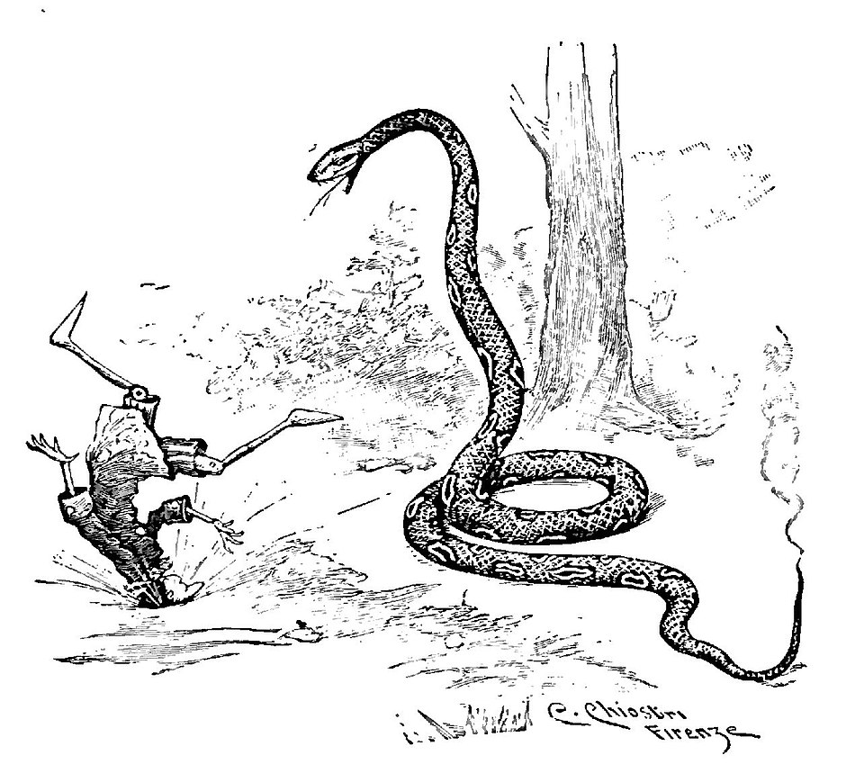 Ao contrário do personagem retratado no desenho da Disney, ingênuo e distraído, o Pinóquio elaborado pelo autor italiano tem características um tanto sombrias. 
