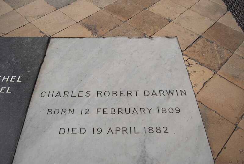 Darwin morreu em 19 de abril de 1882. Segundo diagnóstico da época, ele tinha uma doença do coração. Há suspeita entre os estudiosos que o naturalista sofresse de doença de chagas crônica. A tese baseia-se em um trecho de diário escrito por ele relatando ter sido mordido por um barbeiro na cidade de Mendoza, na Argentina, em 1835. Ele está enterrado na Abadia de Westminster, em Londres.
