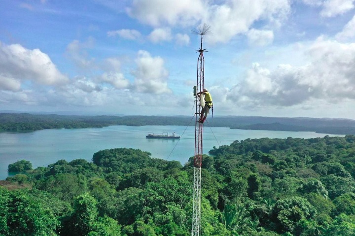 A pesquisa foi conduzida pelo ecologista florestal Evan Gora, do Instituto Cary de Estudos do Ecossistema, no Panamá.