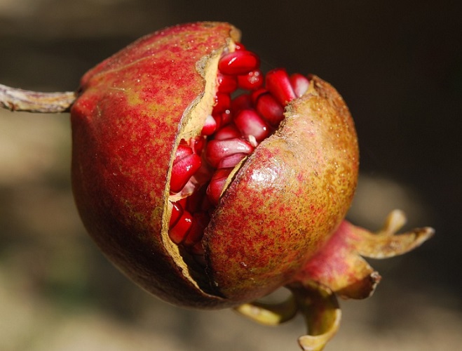 Essas associações culturais refletem a crença em seu poder de trazer boas energias, especialmente no início de um novo ciclo.