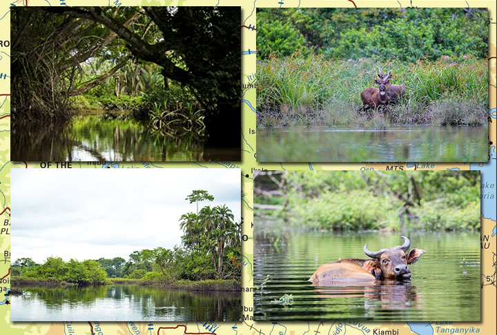 REPÚBLICA DO CONGO - Não confundir com a República Democrática do Congo, que será citada mais adiante. O país leva o nome do poderoso rio que é o segundo maior da África, só perdendo para o Nilo. 