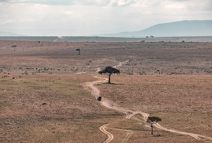 Ali fica o Grande Vale do Rift, onde, curiosamente, um fenômeno atrai a atenção: a África está se dividindo. Sobre isso, copie e cole para ver a galeria do FLIPAR: https://www.flipar.com.br/meio-ambiente/a-africa-esta-se-dividindo-entenda-a-separacao-do-continente/