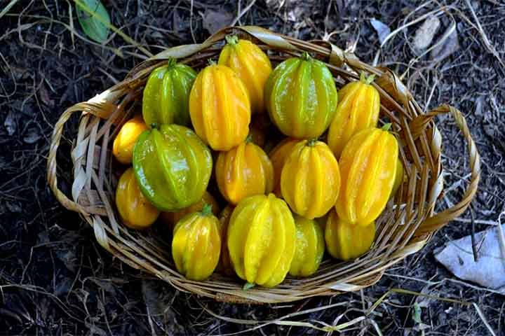A fruta tem um formato alongado, parecido com uma pequena estrela de oito pontas, e sua cor varia do amarelo ao laranja quando está madura. Pode ser consumida in natura, mas é mais utilizada em sucos, geleias e outras preparações culinárias devido ao seu sabor intenso.