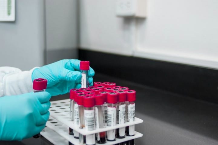 Para isso, os cientistas estão tentando reproduzir células sanguíneas e do sistema imunológico de Harrison e de outros doadores.