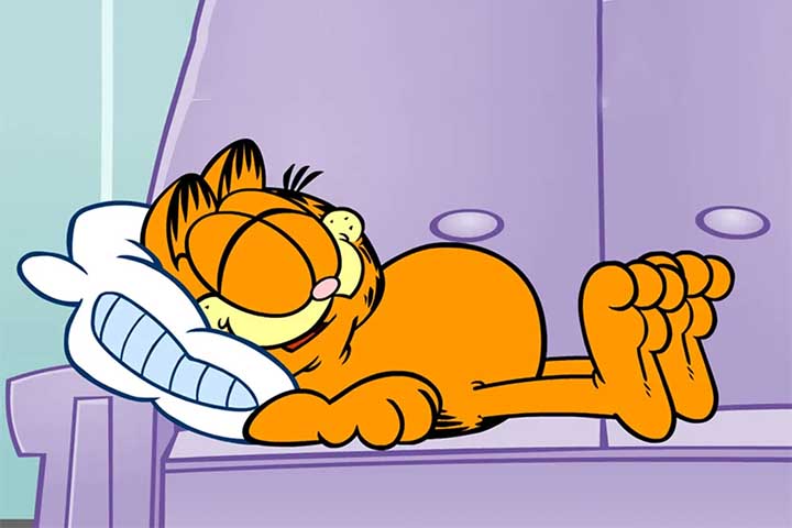 O gato Garfield é estrela de uma das tirinhas mais famosas da história, sendo publicado em 2.570 jornais de todo o mundo (só perdendo para Peanuts). 