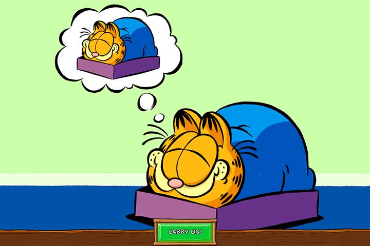 No ano seguinte, foi lançado outro filme, que o título original é Garfield Fun Fest, que também foi em computação gráfica. Foi lançado nos cinemas em alguns países (como no Brasil, com o título A Festa do Garfield).