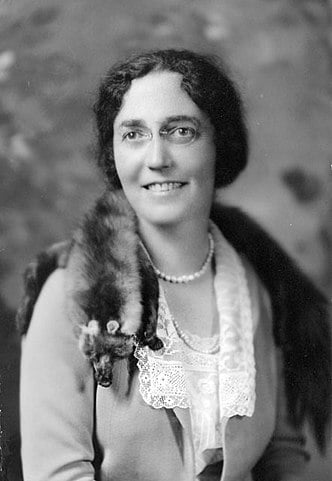 Nina Otero-Warren (1881-1965) liderou o movimento pelo direito ao voto das mulheres, principalmente de origem hispânica como ela.