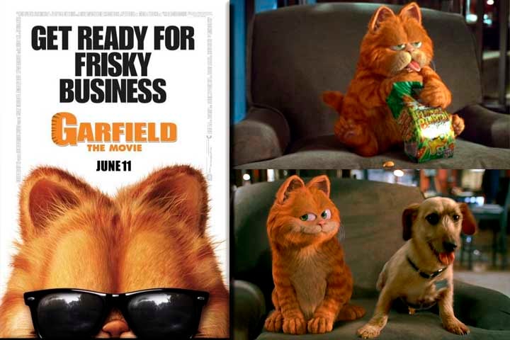A obra cinematográfica Garfield, o Filme foi lançada em 2004. Nela, o personagem foi criado por computação gráfica e dublado por Bill Murray (a versão brasileira é dublada pelo ator Antônio Calloni).