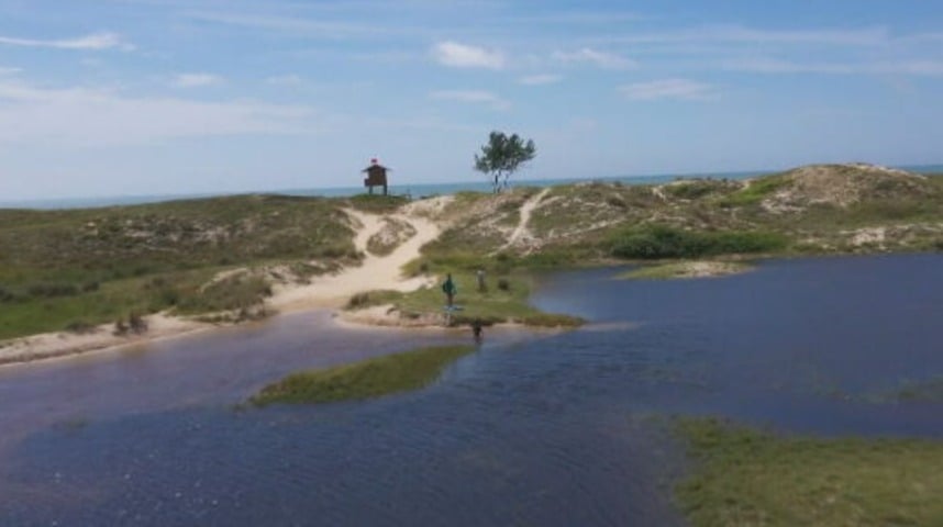 E é justamente para a fase larval que lagos e lagoas são ambientes ideais para as libélulas, pois as larvas muitas vezes ficam escondidas entre pedras e vegetação subaquática.