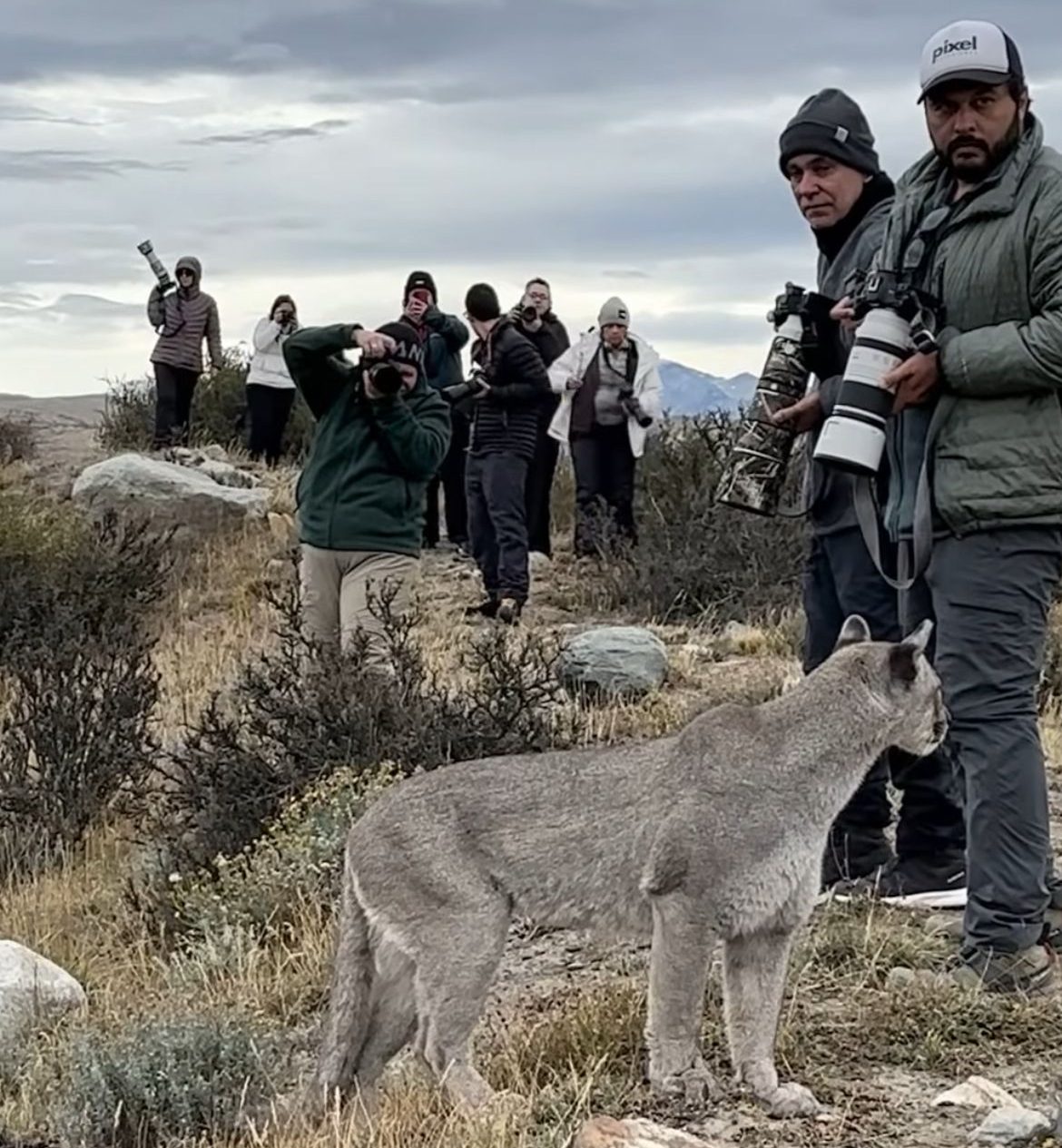 [...] Enfim eu soltei a respiração e pude fazer as ultimas fotos, contou. Emoção a mil, todos se abraçando por terem visto cena tão linda e eu ainda estou emocionado de ter sido escolhido por Escarcha para ter vivido isso”.