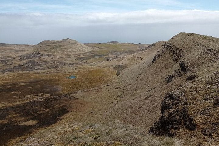 A ironia se tornou trágica quando, anos depois, um grande incêndio na ilha evidenciou o papel preventivo que o gado exercia ao conter o avanço da vegetação.
