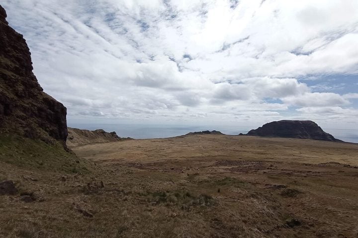A adaptação bem-sucedida à ilha se deve em parte à pré-adaptação climática do gado Jersey, já que as condições da Ilha de Jersey (seu local de origem) são semelhantes às da Ilha Amsterdã. 