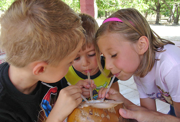 A água de coco também ajuda a prevenir cãibras, melhorar o fluxo intestinal e ajuda a desintoxicar os rins. Uma dica é dar preferência à versão natural da água de coco, uma vez que ela é mais saudável para o organismo do que a industrializada. 