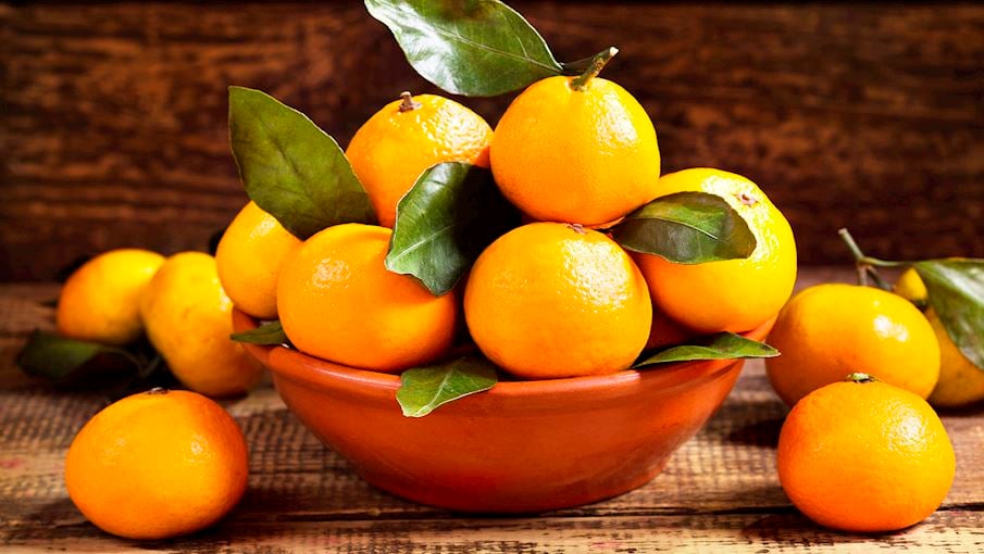 10. Mandarine Chiou: Fruta originária da Grécia, apresenta polpa tenra, saborosa, ligeiramente alaranjada, aroma intenso e membrana bastante rugosa. Ela tem um bom tamanho e alto teor de açúcar, que podem ser atribuídos ao clima incrível, à ótima exposição solar e às propriedades do solo.