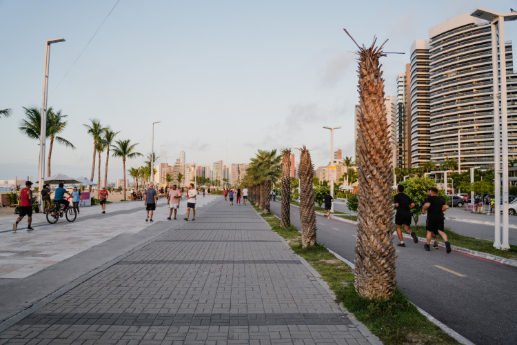 O POVO esteve no local em agosto, quando o canteiro apresentava aparência mais verde e preservada