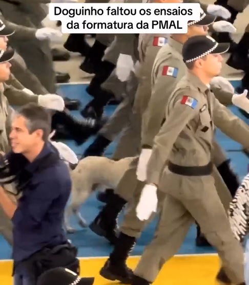 O vídeo foi compartilhado pelo perfil Patinhas Pequenas no Instagram no dia 13 de junho de 2024,  acumulando milhares de visualizações. “Treino para quê? Engatou na marcha lindamente!”, comentou um seguidor.