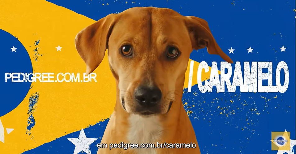 A campanha se chama Pedigree Caramelo e foi criada pela agência AlmapBBDO para a marca de ração da empresa Mars. O anúncio recebeu o Leão de Ouro na categoria Creative Strategy do Festival de Cannes. 