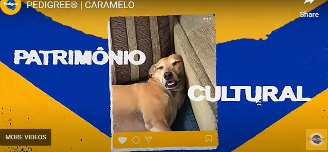 A campanha trata o vira-lata caramelo como um patrimônio cultural brasileiro e valoriza o animal como uma instituição querida de todos. 