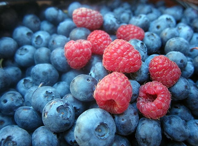 A framboesa é nativa da Ásia Menor e norte da Europa. Atualmente, ela faz parte da cultura de diversas regiões, como no próprio Velho Continente, Estados Unidos e Canadá. 
