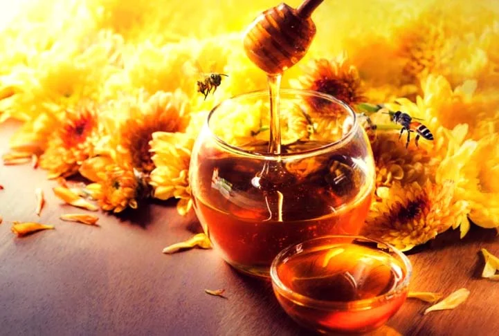 No dia 17 de março é comemorado o Dia Nacional do Mel, alimento tão importante que tem uma data só para ele. Um reconhecimento pela importância desse produto para a saúde.