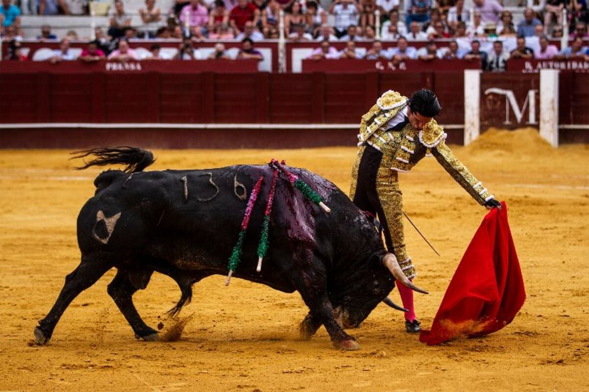 Já quem combate a prática cita a crueldade e o sofrimento imposto aos animais, a proibição crescente em diversos países, além de considerarem as touradas ultrapassadas e bárbaras.